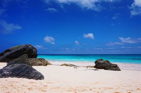 Bahamas Beach Rocks Image Free Stock Photo