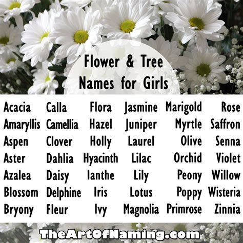 What Are Your Favorite Flower Or Tree Names For Girls Babynames Click
