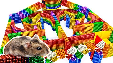 Diy Build Amazing Hamster Maze Labyrinth With Magnetic Balls
