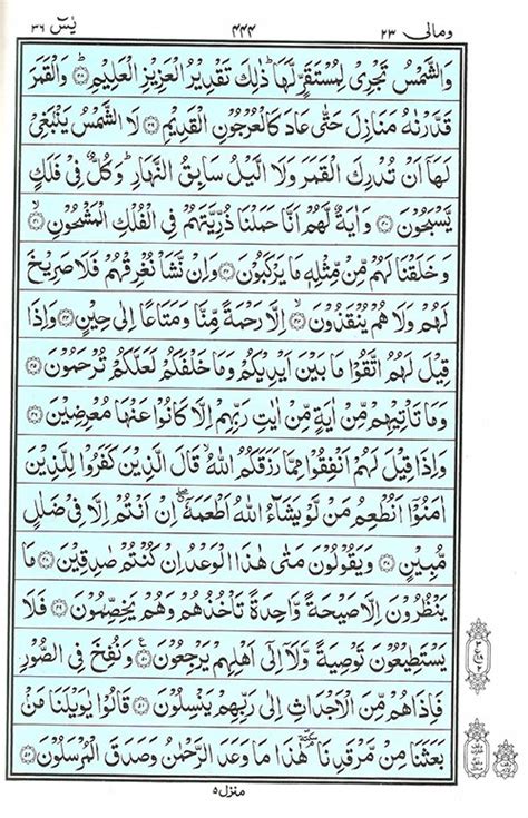 Surah Yaseen Yasin Read Quran Surah Yasin سورة يس Online