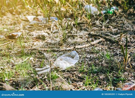 Litter Plastic In The Nature Pollution Of The Environment Stock Image
