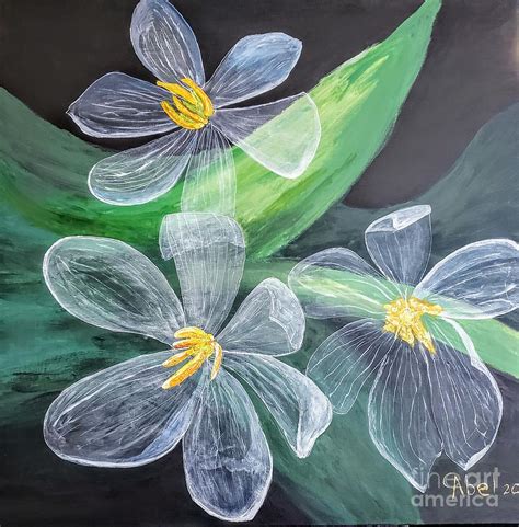 Translucent Flower Painting By Escudra Art