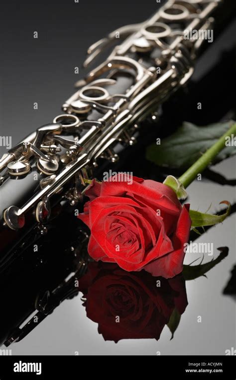 Clarinet And A Red Rose Stock Photo Alamy