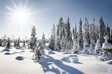 Finland truly is a winter woderland. Winterurlaub in Finnland im Holzhaus Hotel Saija