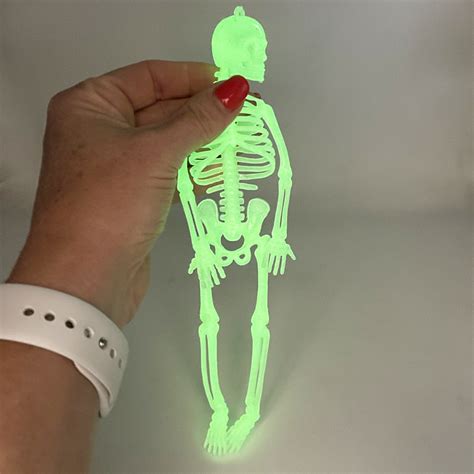 Glow In The Dark Skeleton 21cm The Toy Factory Shop