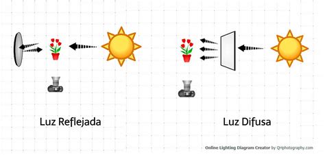 Cómo Aprovechar Al Máximo La Luz Natural En Fotografía Macro
