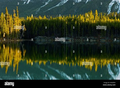 Herbert Lake Reflection At Sunset Banff National Park Alberta Canada