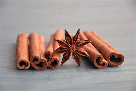 How To Grow Cinnamon Like An Expert Dengarden
