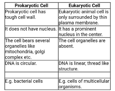 Prokaryotic And Eukaryotic Cells Answer
