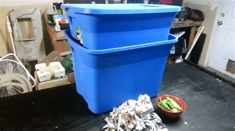 Get worms from your worm bin or from the bait shop and put them into the bait bottle. DIY Soil Making (Worm Bin/Black Gold) - YouTube