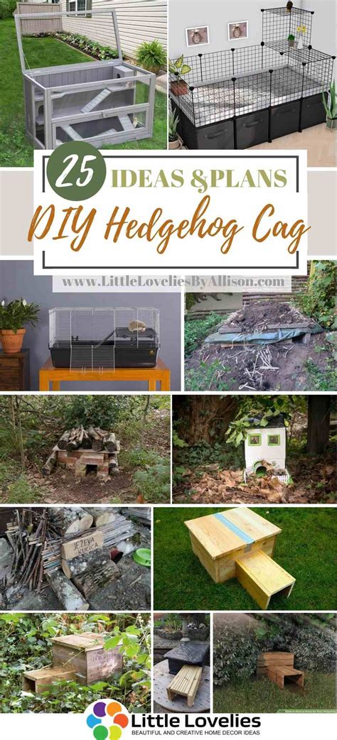 We did not find results for: 25 DIY Hedgehog Cage - Indoor and Outdoor Enclosures For Your Hedgehog