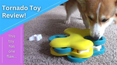 Tornado Toy By Nina Ottosson Toy Review Youtube