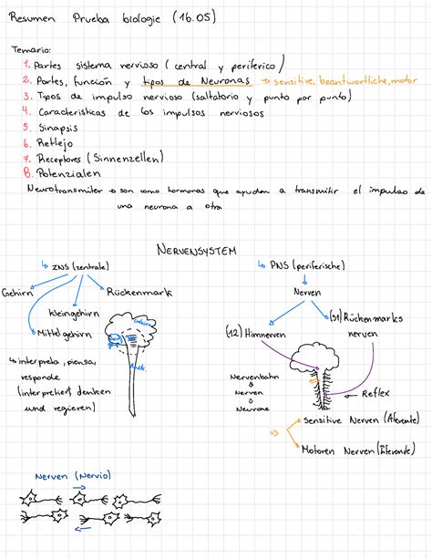 Resumen Biologie 16 05 Pag 4 Resumen Prueba Biologie 16 Temario