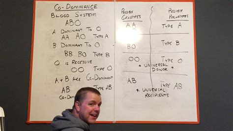 Codominance pertains to the genetic phenomenon in which gene products from the two alleles in a heterozygote are produced in roughly equal amount, where gene products refer to either different transcripts from the two alleles, different proteins from cellular processing of the transcripts, or different metabolites specifically associated with the enzymatic activity of the allele. Genetics packet- p17 & 18- CoDominance - YouTube