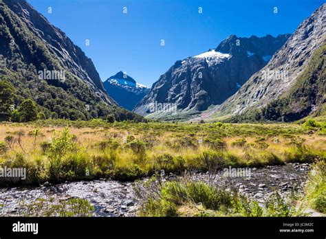 Scenic View Of Monkey Creek Hollyford Valley Milford Sound New