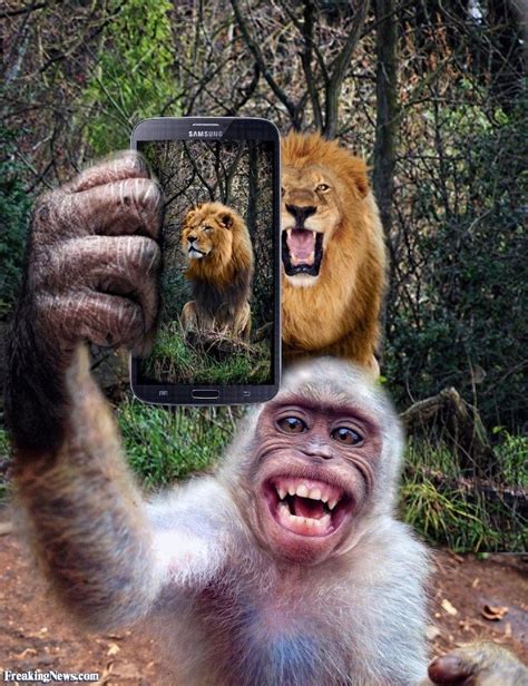 What If Animals Had Cellphones 17 Hilarious Photos Ibeebz