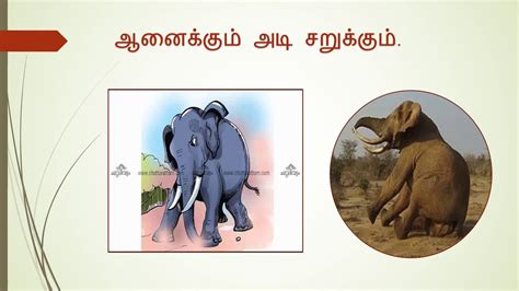 Tamil Proverbs And Their Meanings பழமொழிகளும் அதன் விளக்கங்களும்