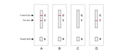 Structure Chart Of Colloidal Gold Immunochromatographic Gicg Strip