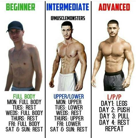 Gain Muscle Whether You Are Beginner Or An Advanced Bodybuilder With