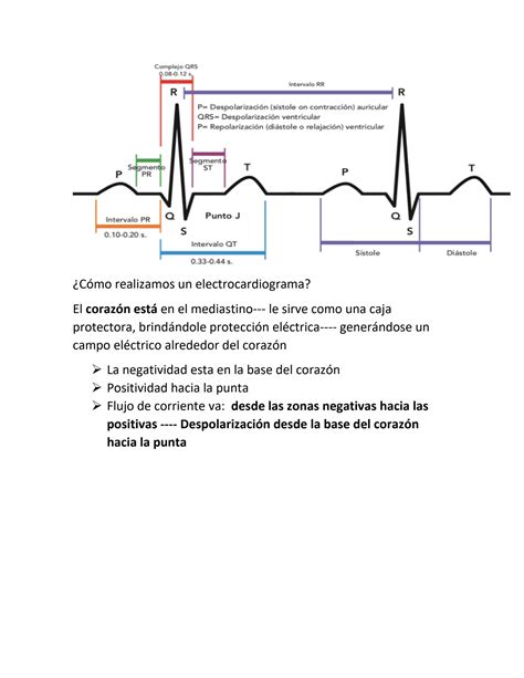 Solution Actividad El Ctrica Del Coraz N Y Electrocardiograma Studypool