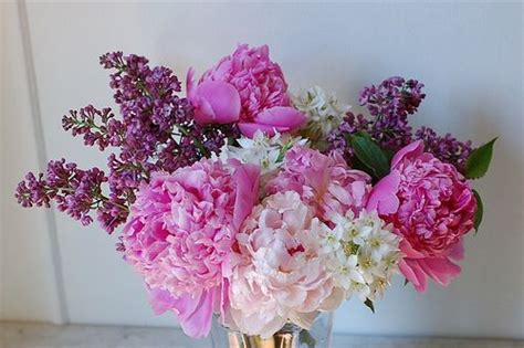 Lilacs And Peonies Love Flowers Lilac Garden Beautiful Flowers