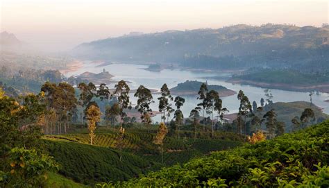 Ceylon Tea Trails Beyond Senses Travel Sri Lanka Spezialist Köln