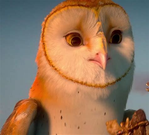Soren Owl Once Upon A Time Fanon Wiki Fandom