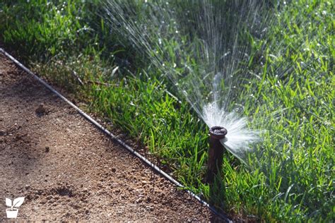 How To Install Your Own Sprinkler System Layout Step By Step Guide