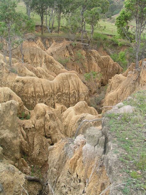 Stream and River Restoration: Gully erosion
