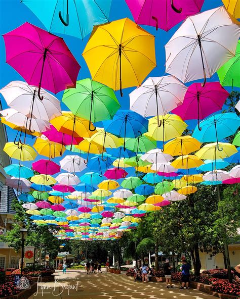 Itap Of The Umbrella Walk At Dollywood Ritookapicture