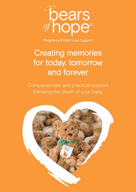 Brochures And Booklets Bears Of Hope