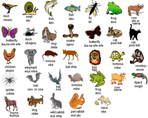 Animals Names With Pictures Diabetes Inc