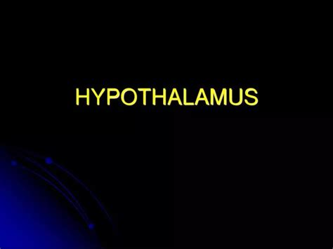 ppt hypothalamus powerpoint presentation free download id 217173