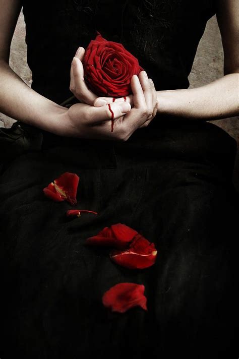 Pin On ~ Dark Rose
