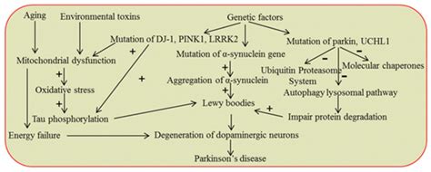 Parkinsons Disease Pathway Creative Diagnostics