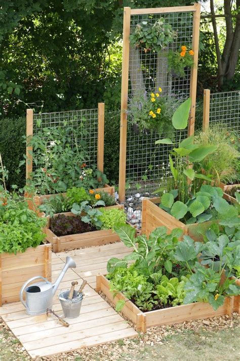 A Garden Filled With Lots Of Different Types Of Vegetables And Plants