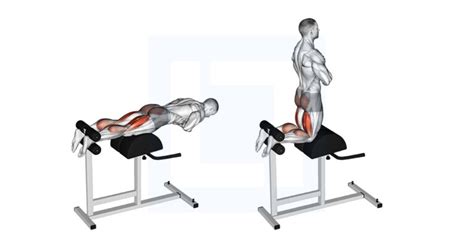 Glute Ham Raise Guide Benefits And Form