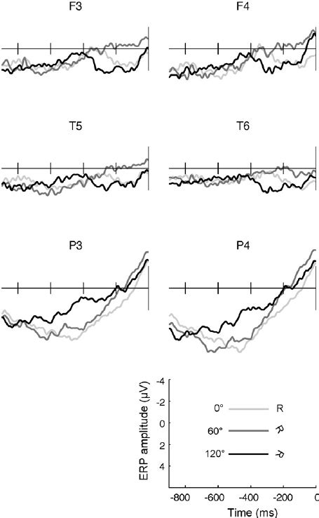 Event Related Potentials Time Locked To The Response Time Erp Rt