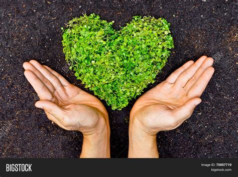 Love Nature Image And Photo Free Trial Bigstock