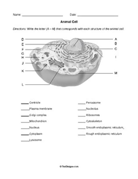 Label the parts of an animal cell worksheet answer key. Plant Cells, Animal Cells, ... by Help Teaching | Teachers ...