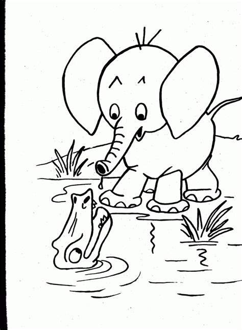 Wild Animal Colouring Pictures For Kids Animals Total Update