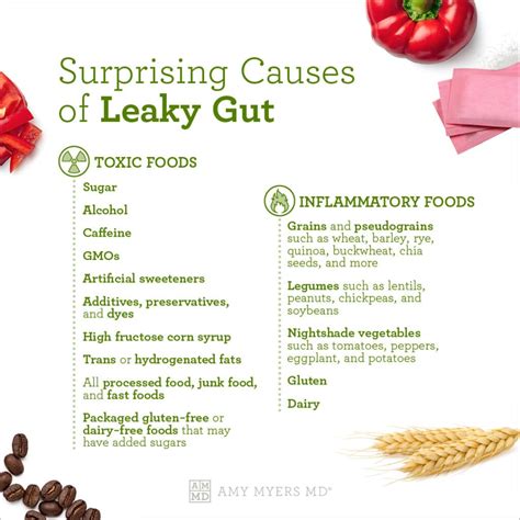 The 2 Surprising Causes Of Leaky Gut Amy Myers Md