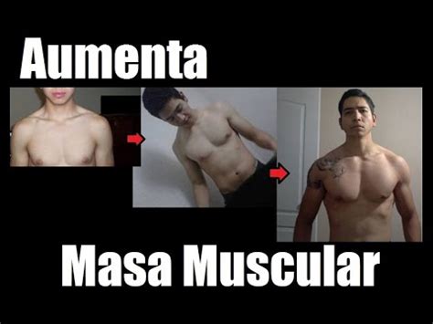 Reglas Para Aumentar Masa Muscular Youtube