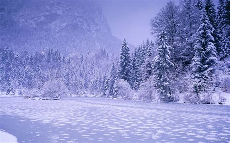 70 Winter Landscapes Wallpaper On Wallpapersafari