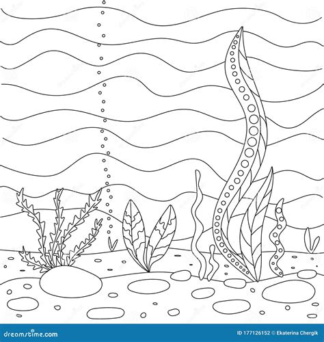 Vector Illustration With Algae Sea Bottom Simple Funny Children`s