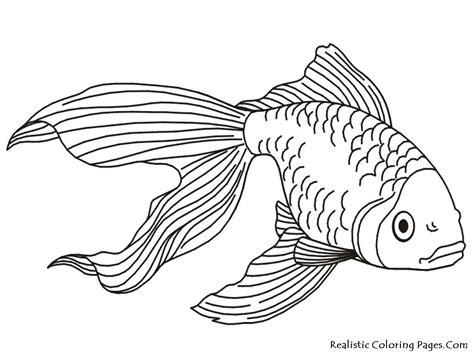Realistic Animal Coloring Pages To Print at GetColorings.com | Free