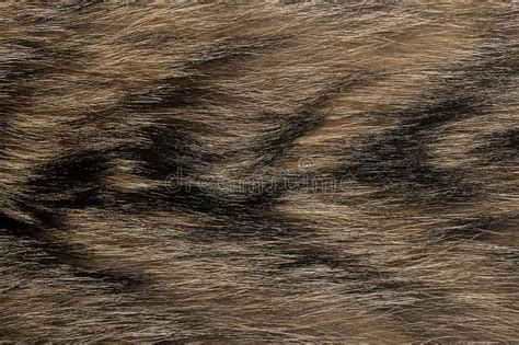 Natural Animal Fur Background Texture Brown Wool Close Up Stock Photo