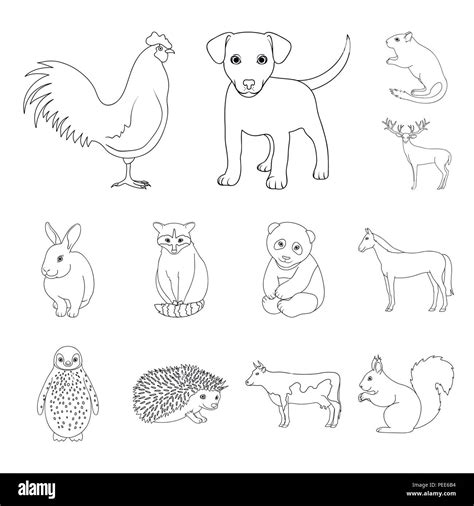 Realistic Animals Outline Icons In Set Collection For Design Wild And