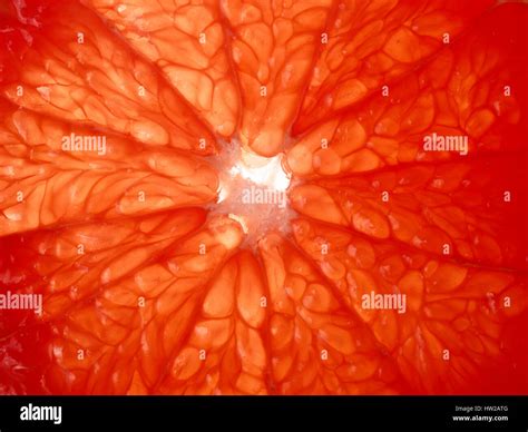 Blood Oranges Slices On White Backdrop Stock Photo Alamy