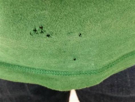 Where Those Tiny Holes On Your T Shirts Actually Come From Smooth